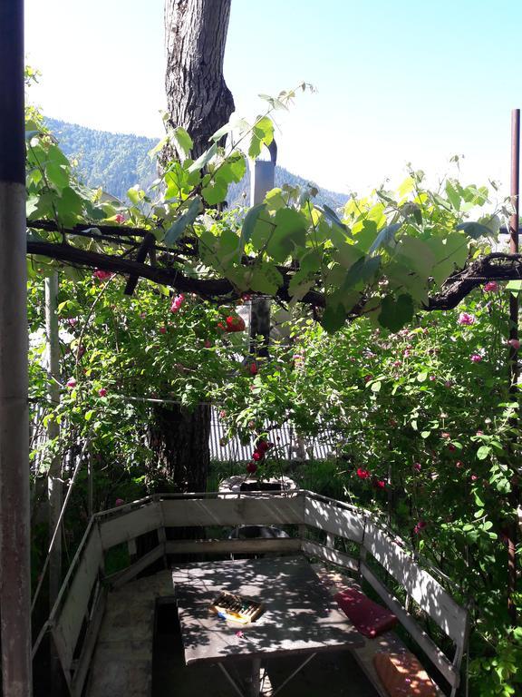 Rachvela'S Guest House 博尔若米 外观 照片